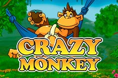 Crazy Monkey в Jozz Casino